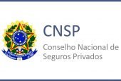 Breves considerações acerca da Resolução CNSP 393