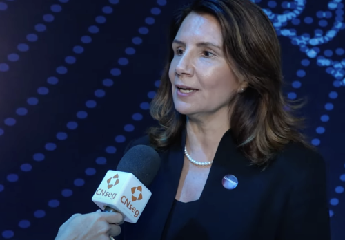 diretora executiva da COP30 e secretária nacional de Mudança Climática do Ministério do Meio Ambiente, Ana Toni