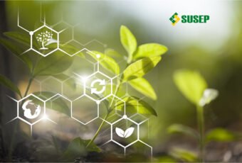 Susep publica marco regulatório de sustentabilidade
